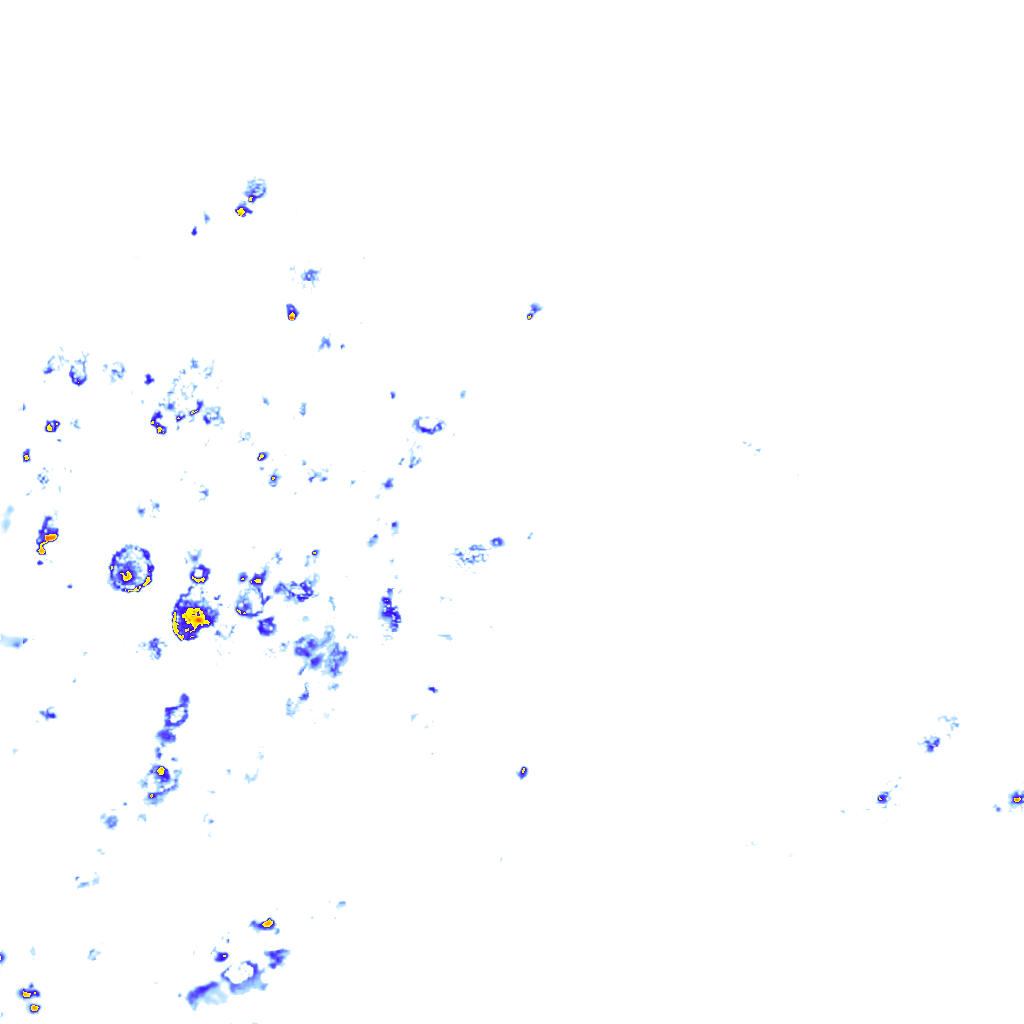 rainLayer