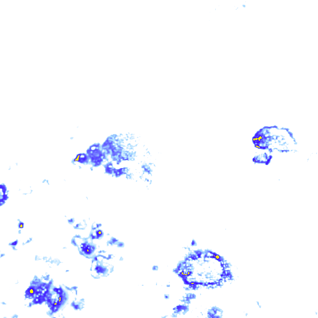 Image Layer
