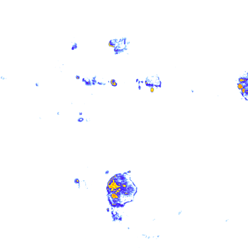 rainLayer