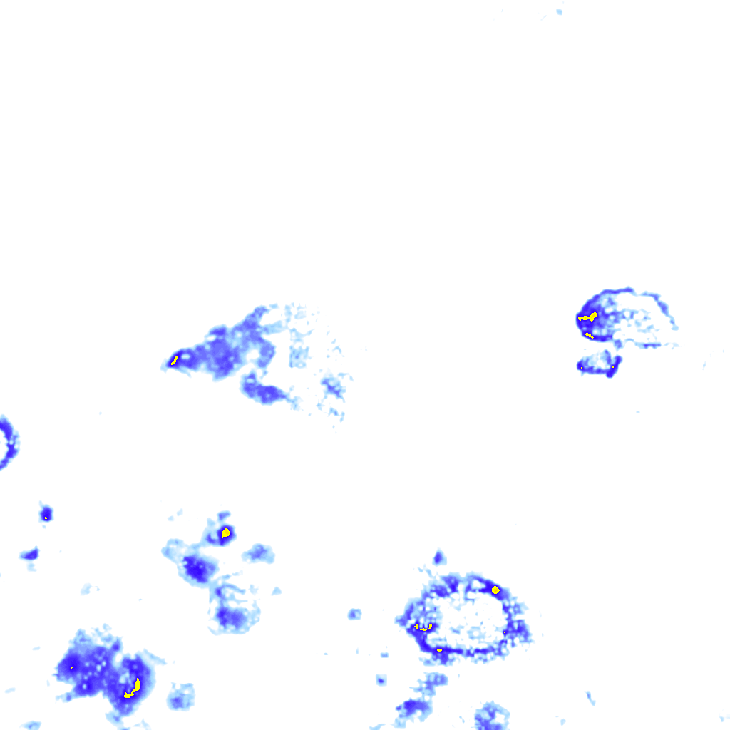 Image Layer