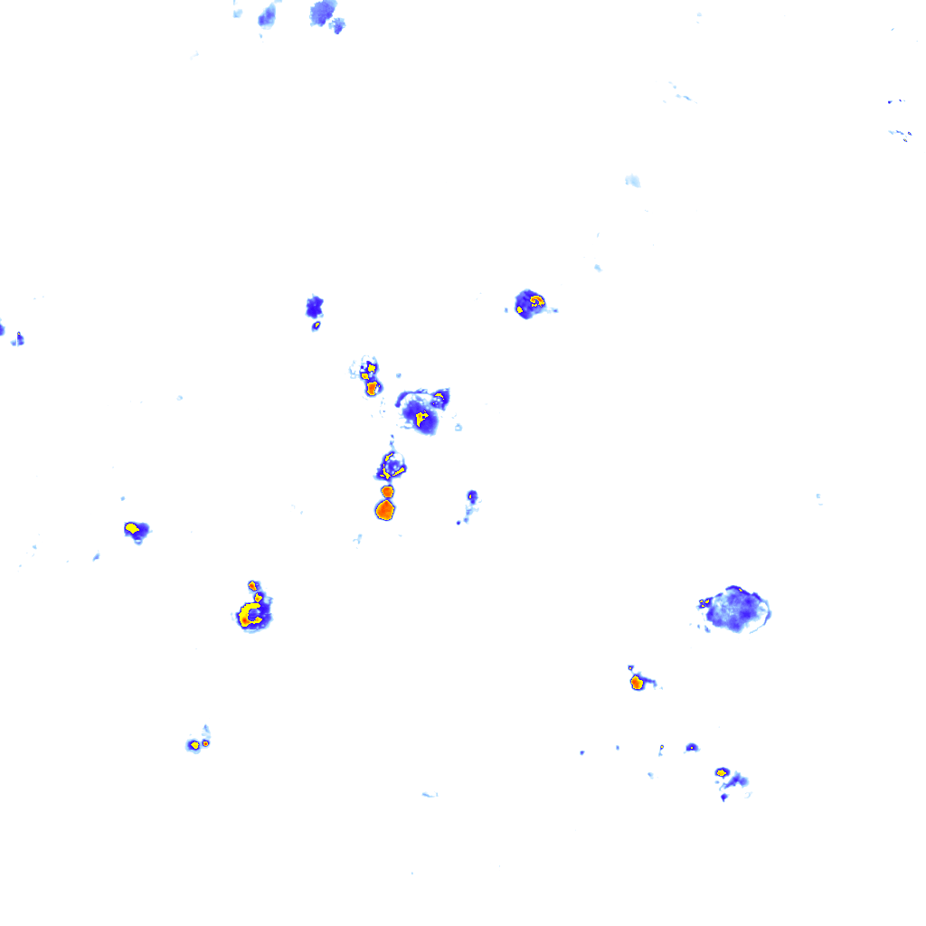 Image Layer