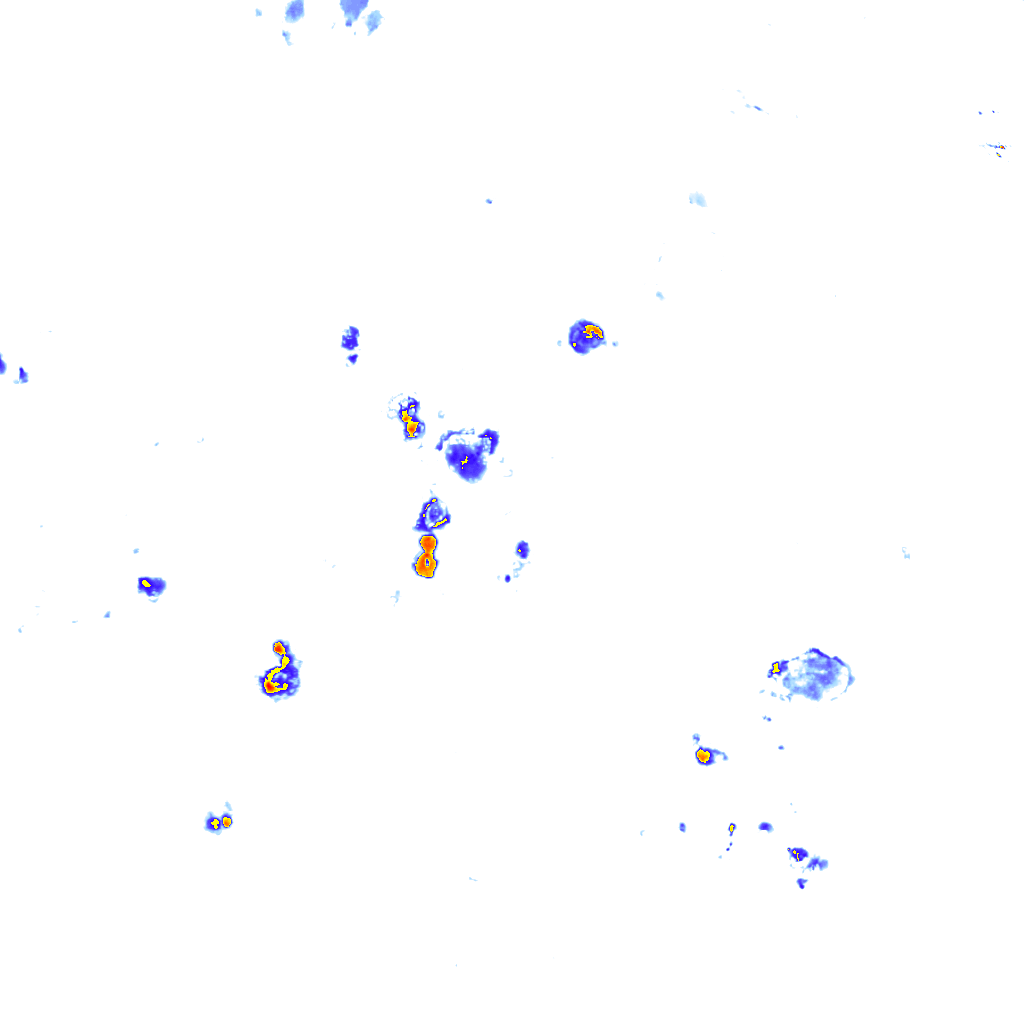 Image Layer