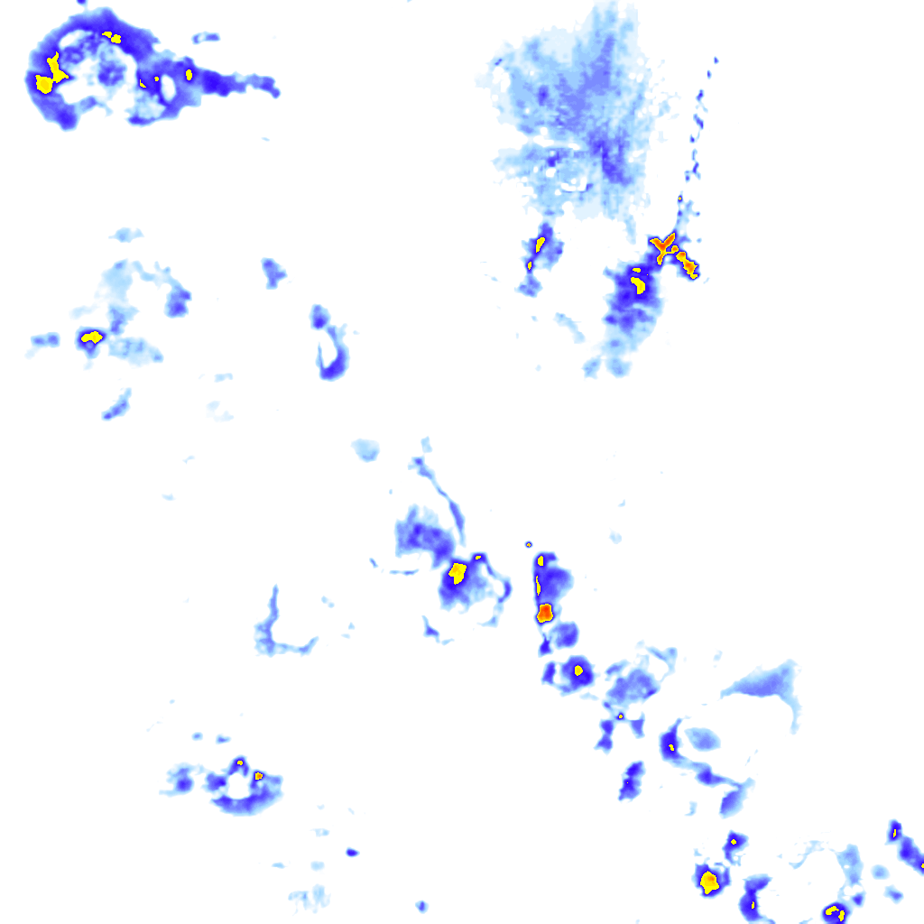rainLayer