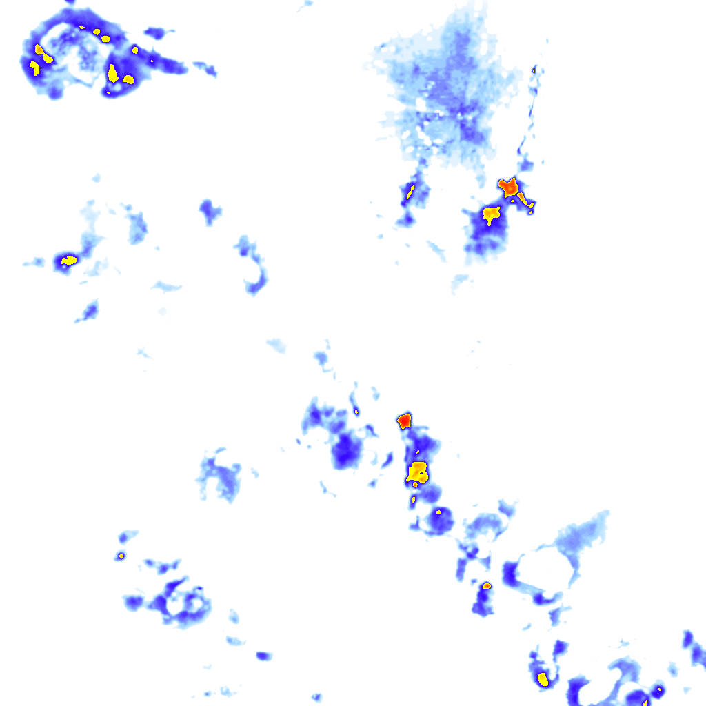 Image Layer
