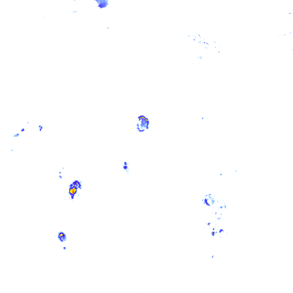 Image Layer