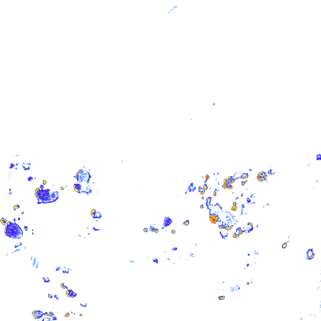 rainLayer