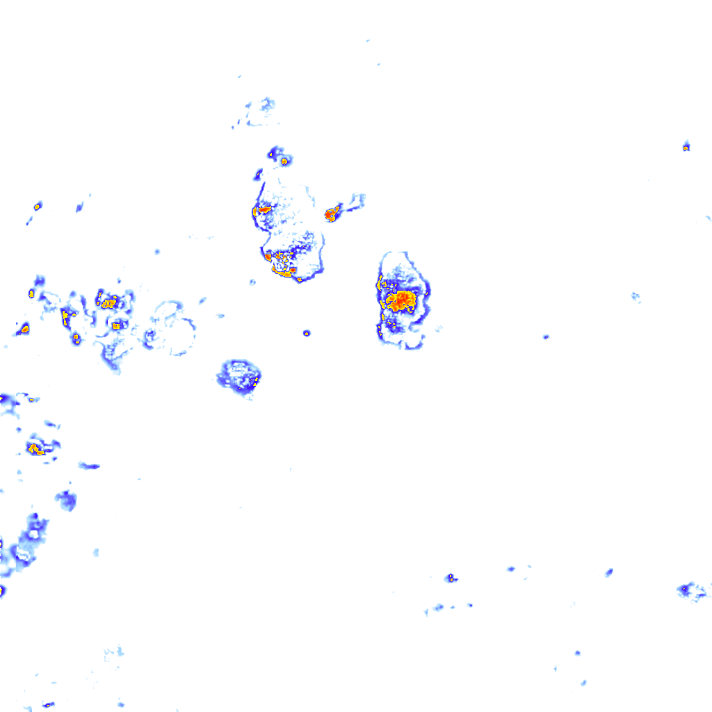 rainLayer