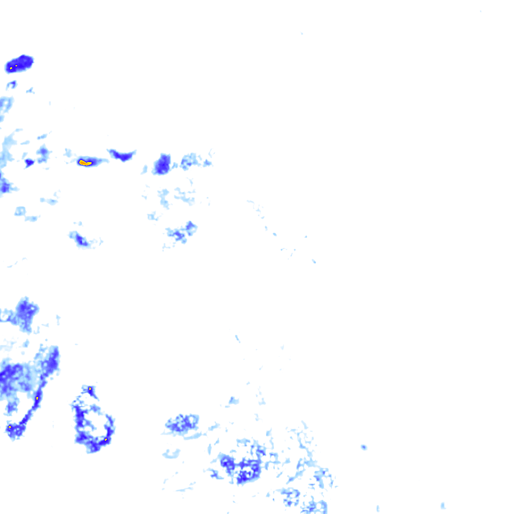 rainLayer