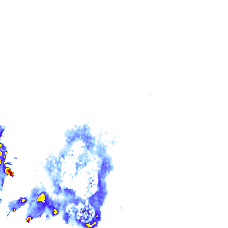 rainLayer