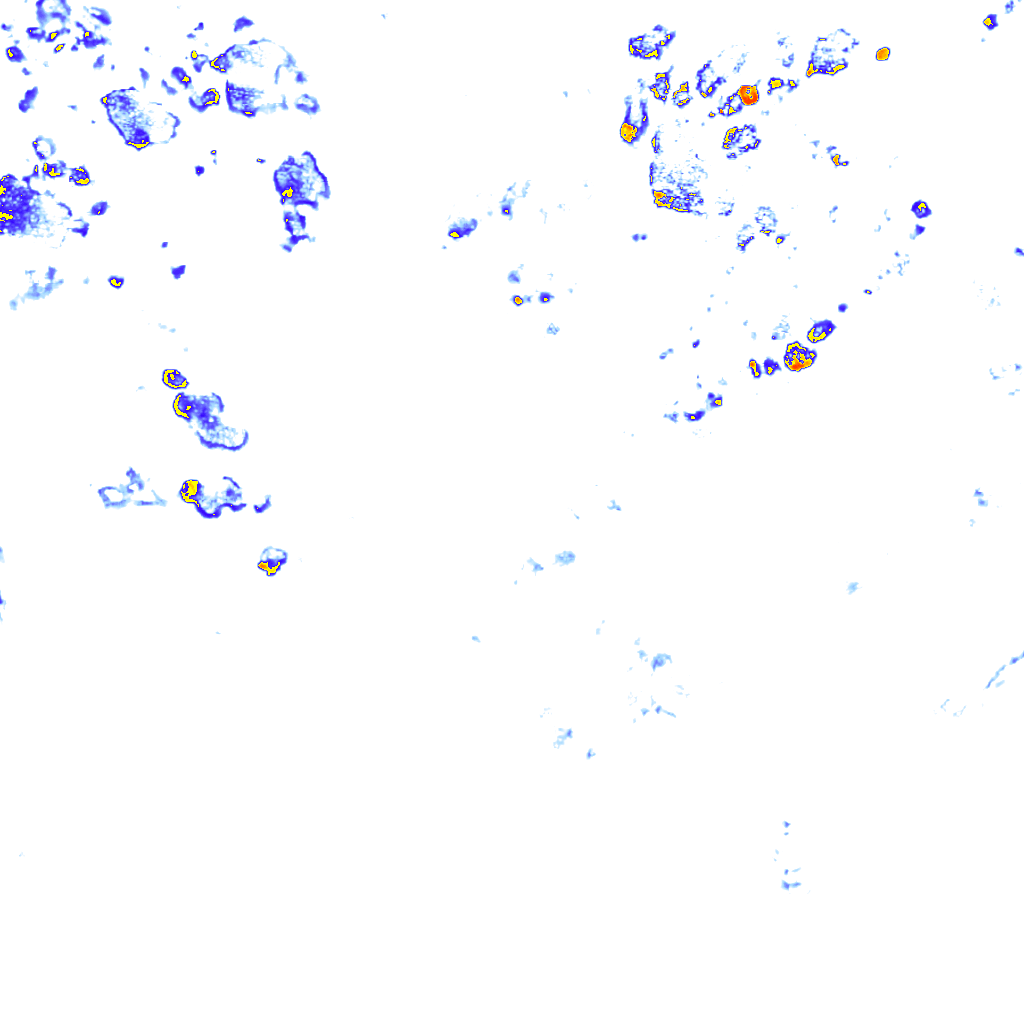 rainLayer