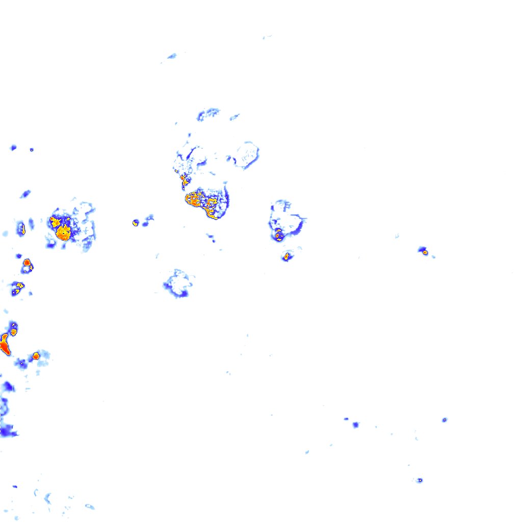 rainLayer