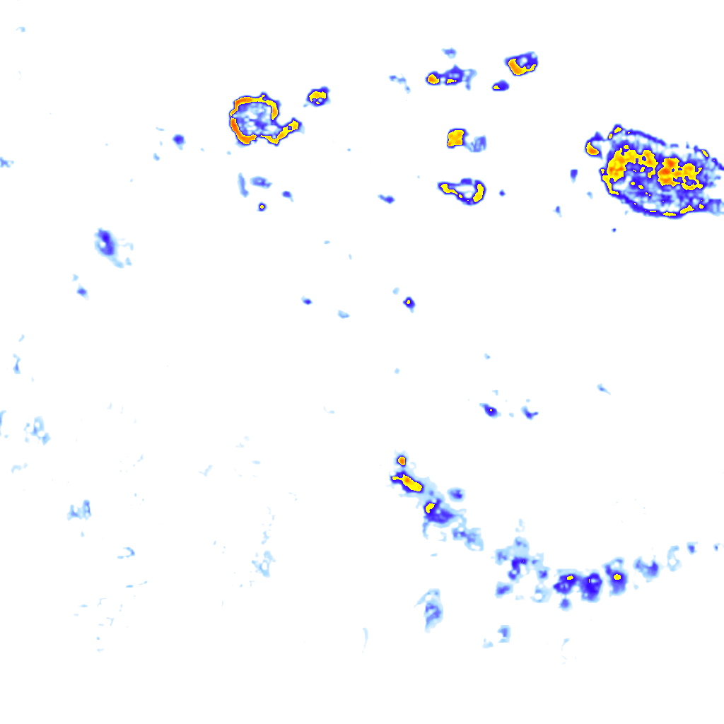Image Layer