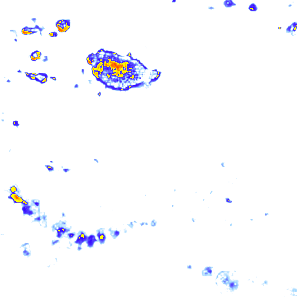 Image Layer
