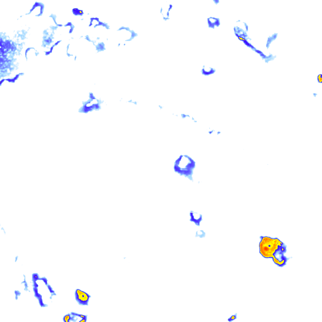 Image Layer