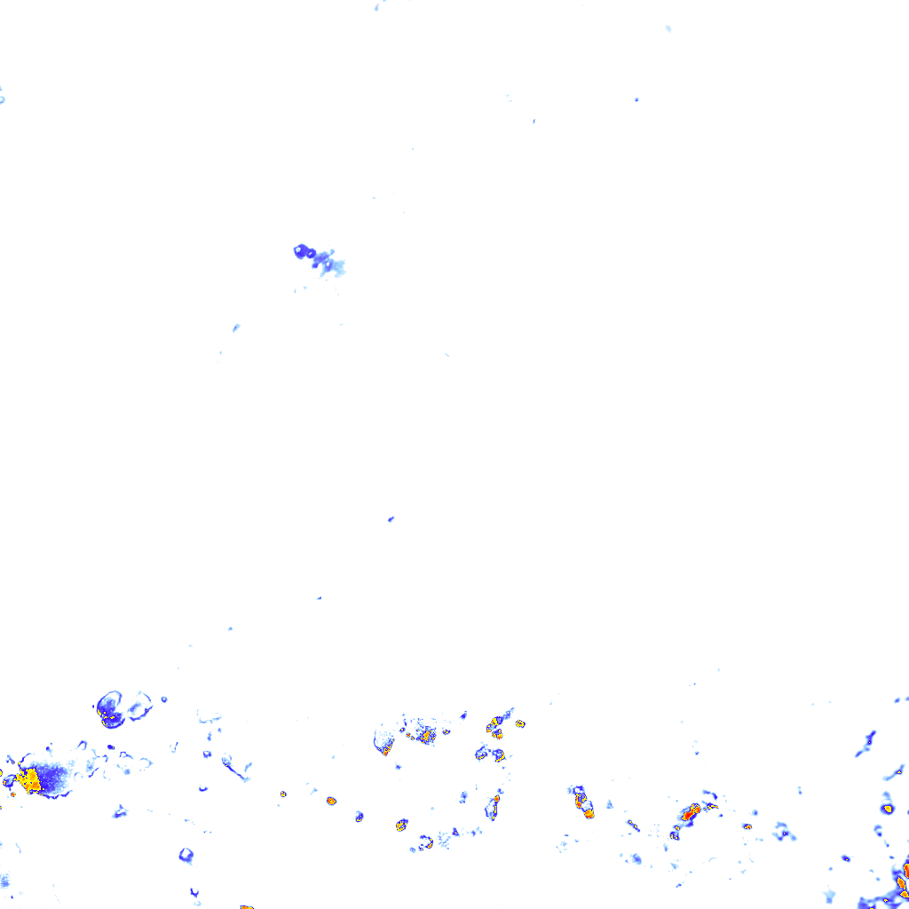 rainLayer