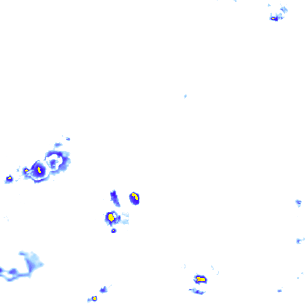 rainLayer