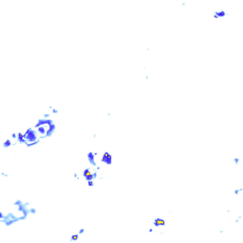 Image Layer
