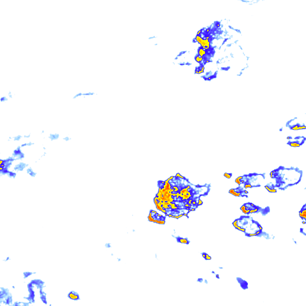 rainLayer