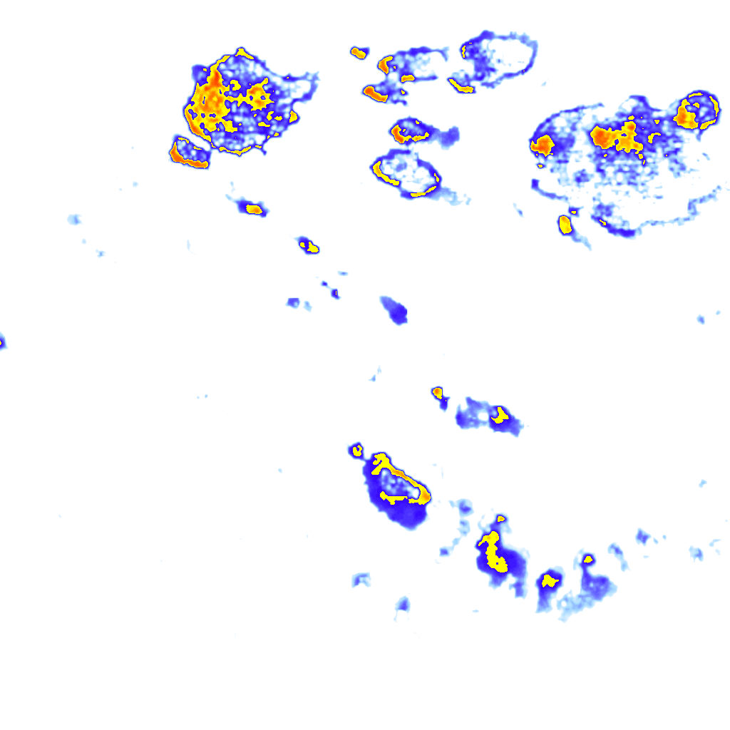 rainLayer