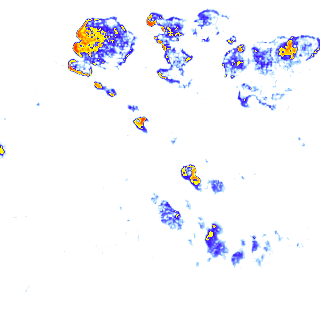 Image Layer