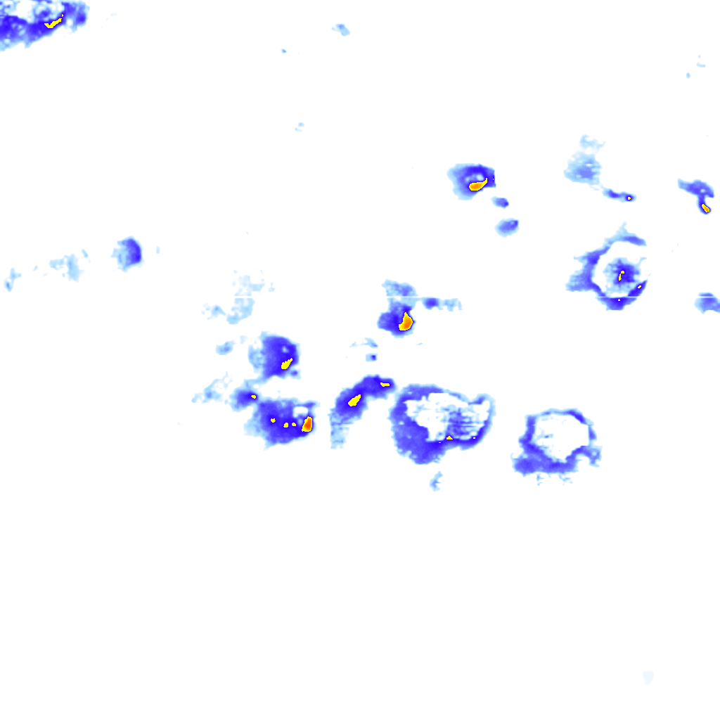 Image Layer