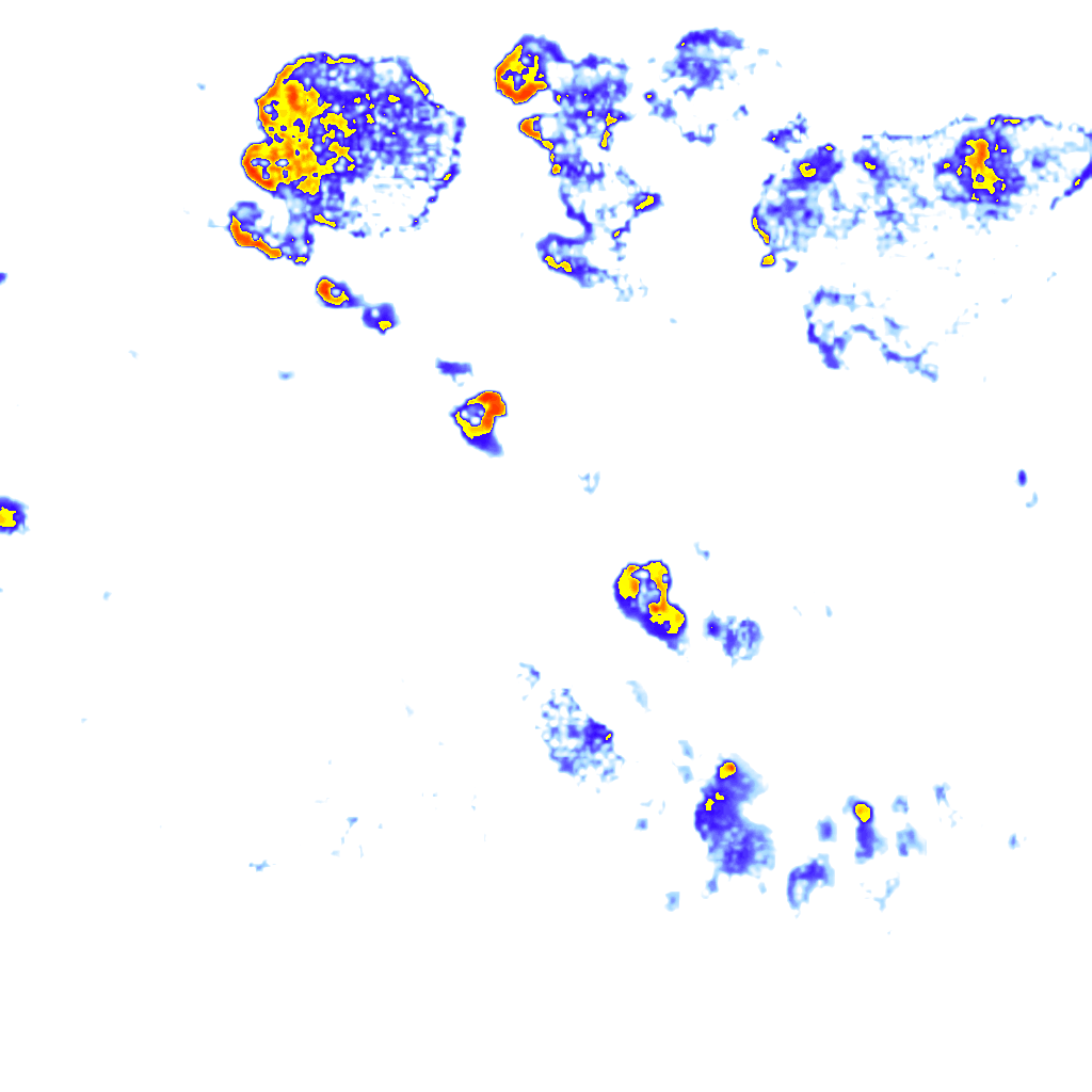 rainLayer