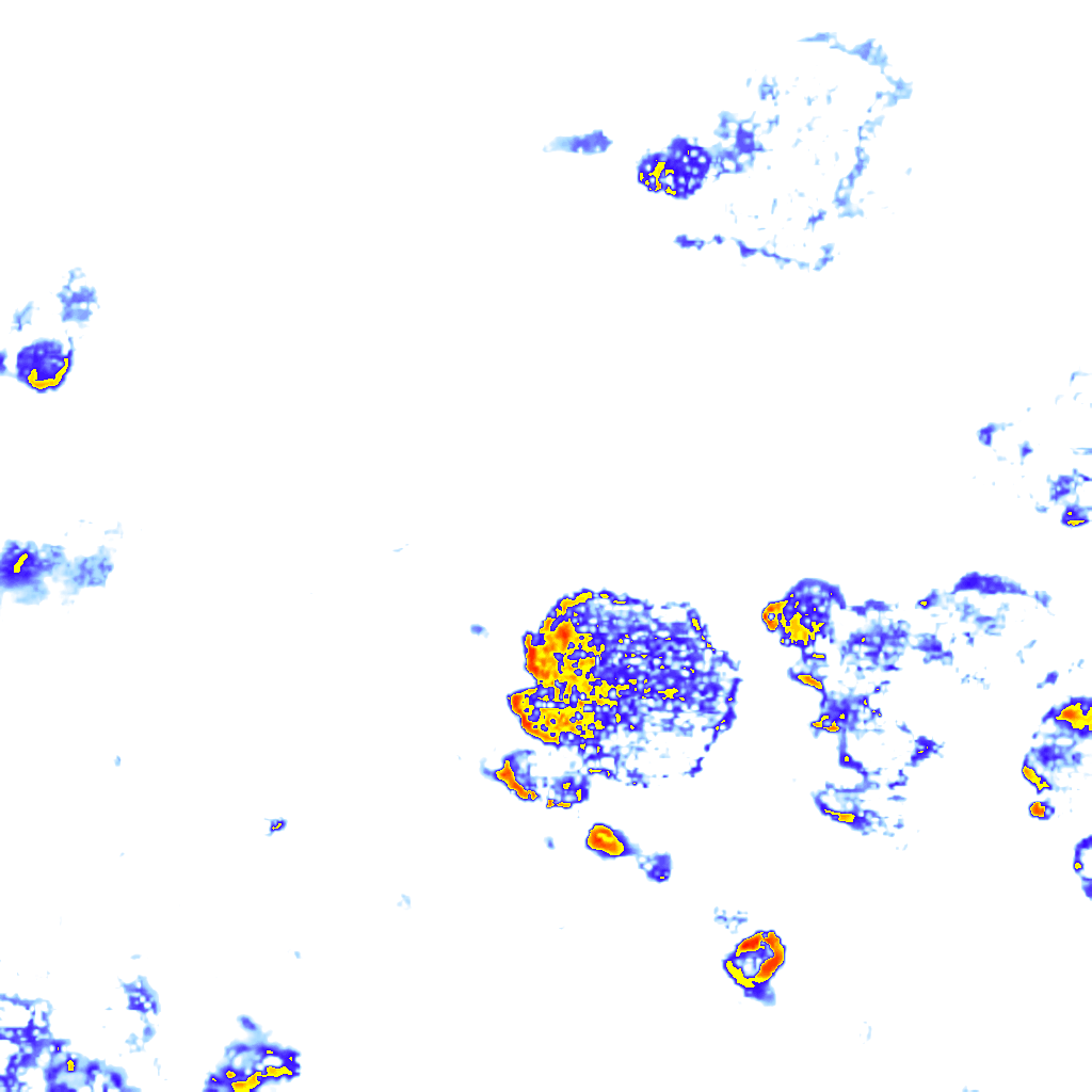 Image Layer
