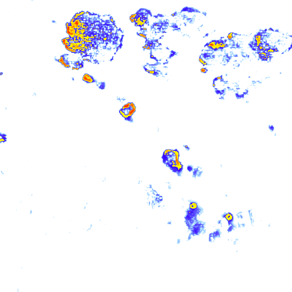 rainLayer