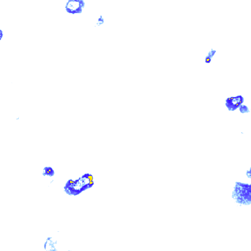 rainLayer