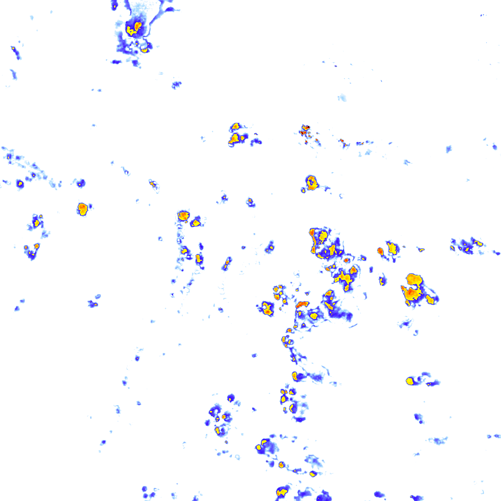 Image Layer