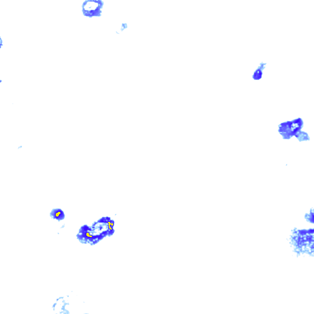 rainLayer