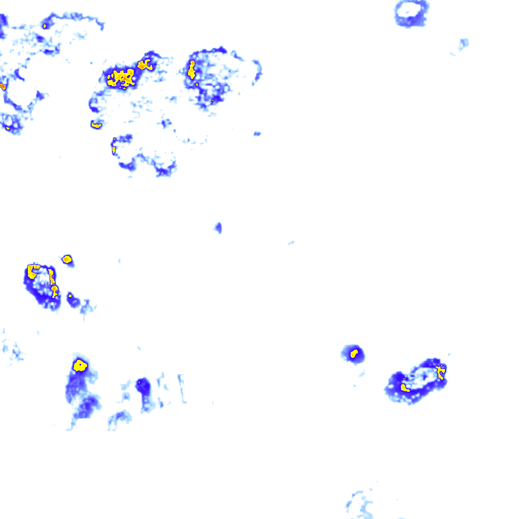 Image Layer