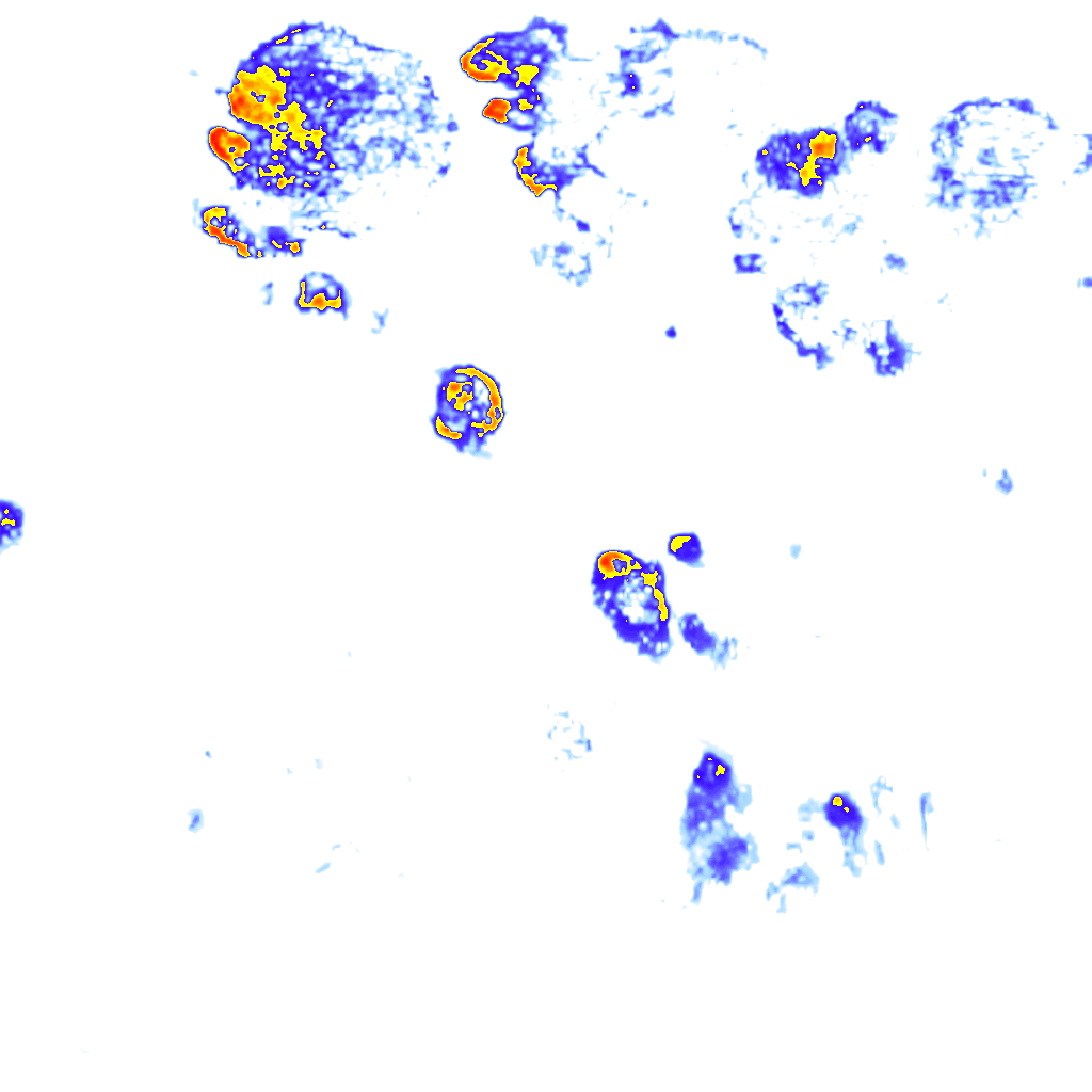 Image Layer