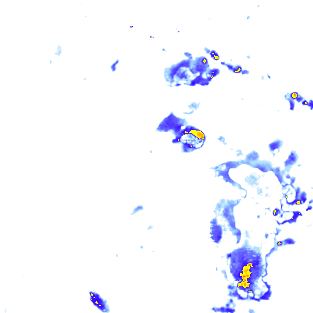 rainLayer