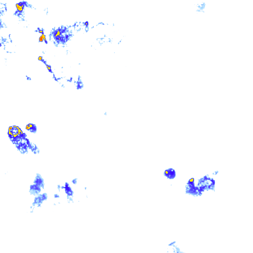 Image Layer