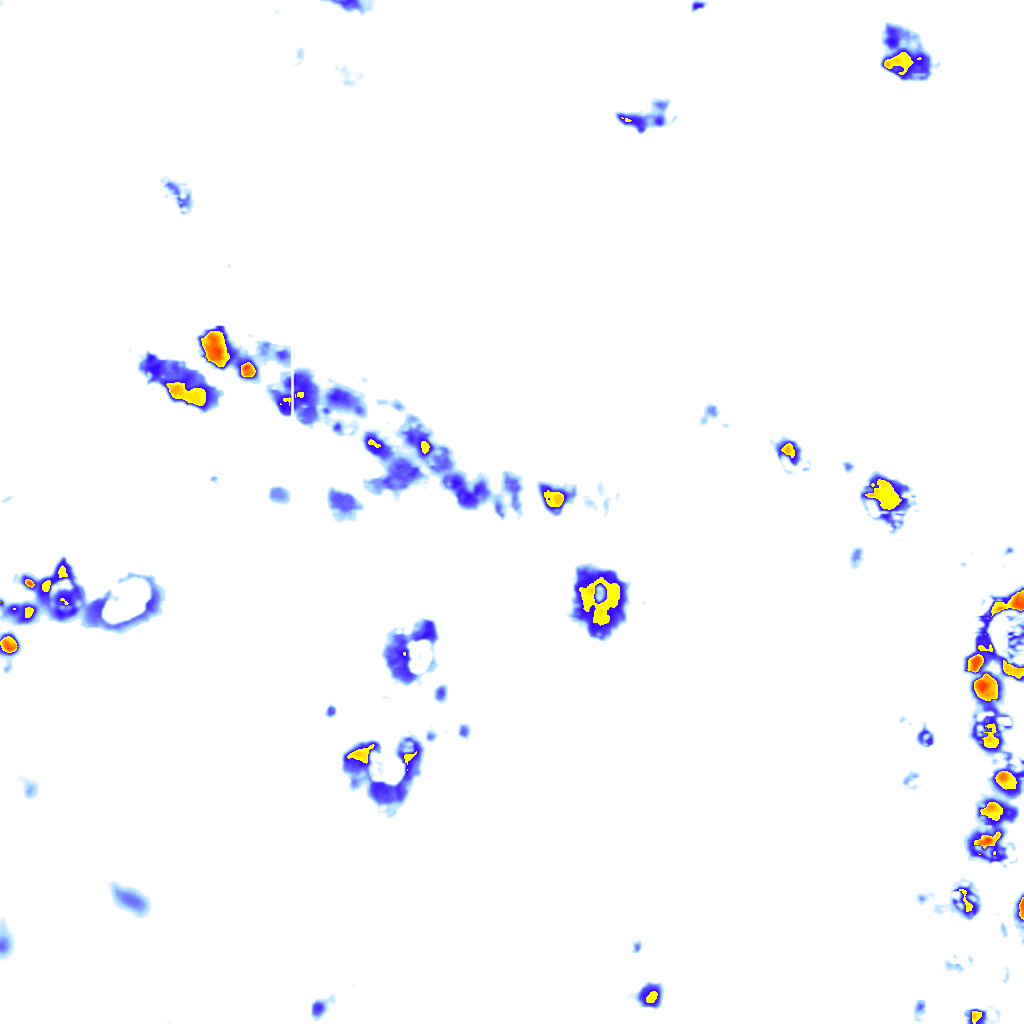 Image Layer