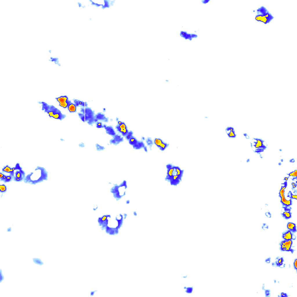 rainLayer