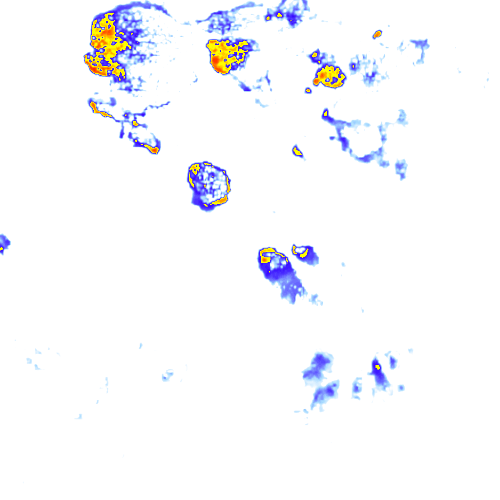 rainLayer