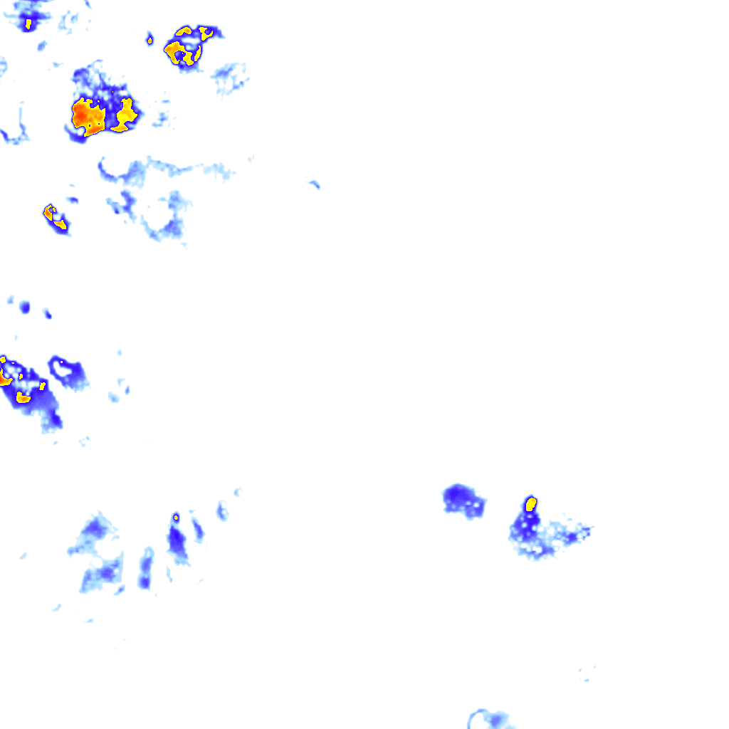 rainLayer