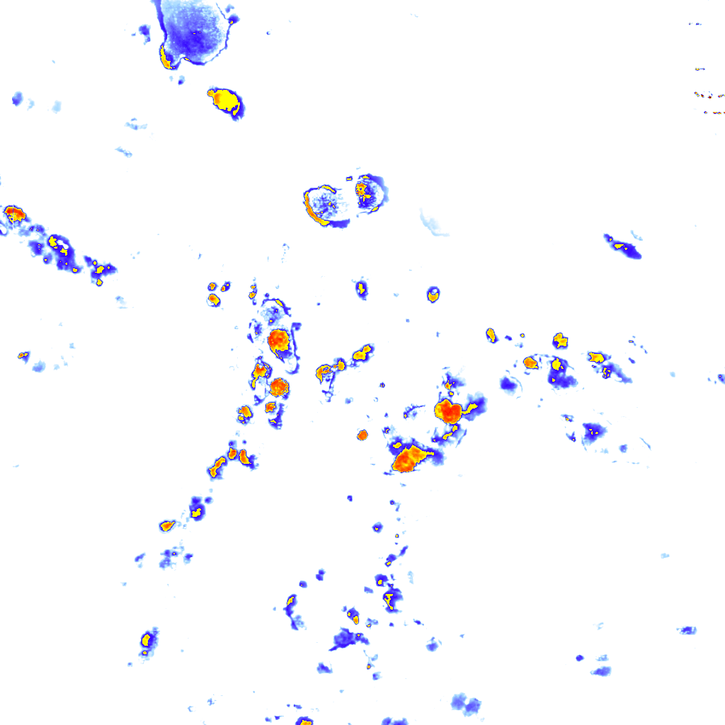 Image Layer