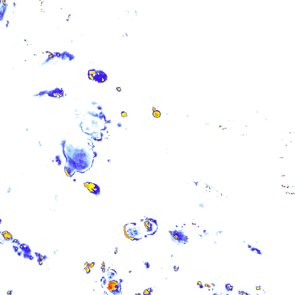 Image Layer