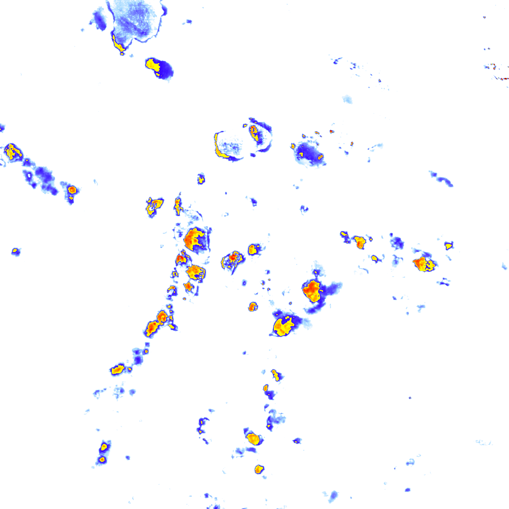 rainLayer