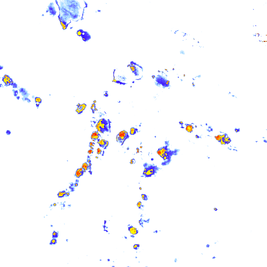Image Layer