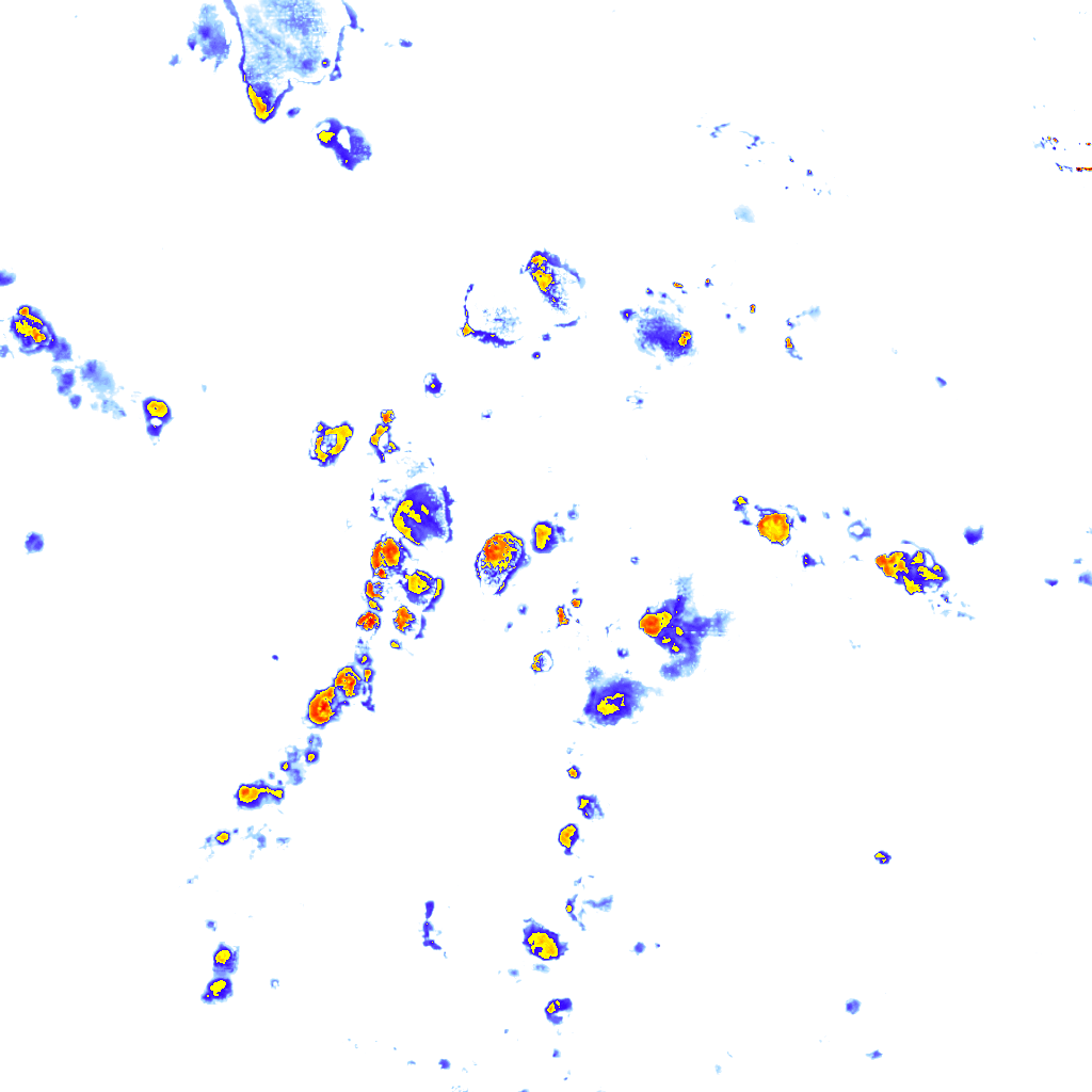 Image Layer