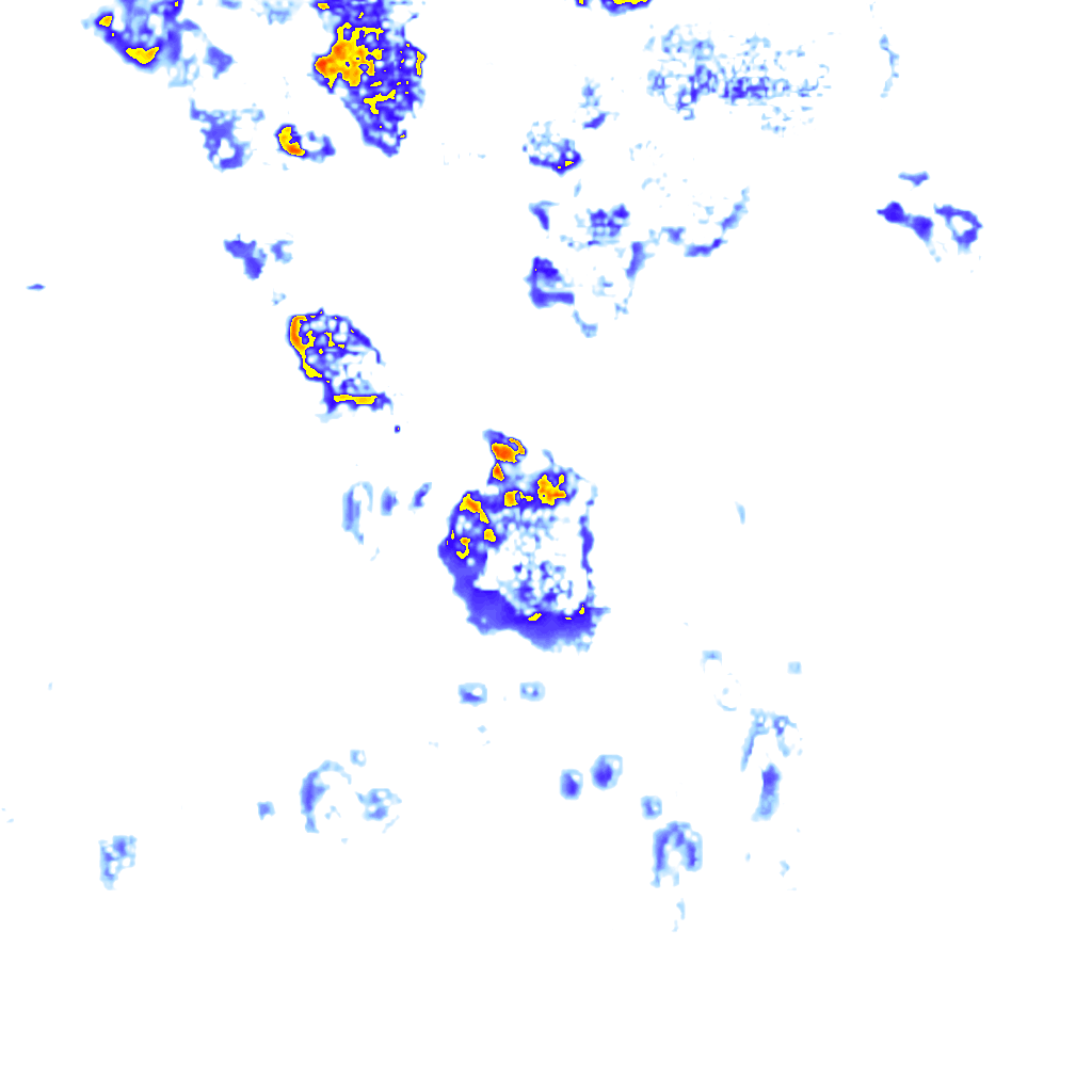 rainLayer