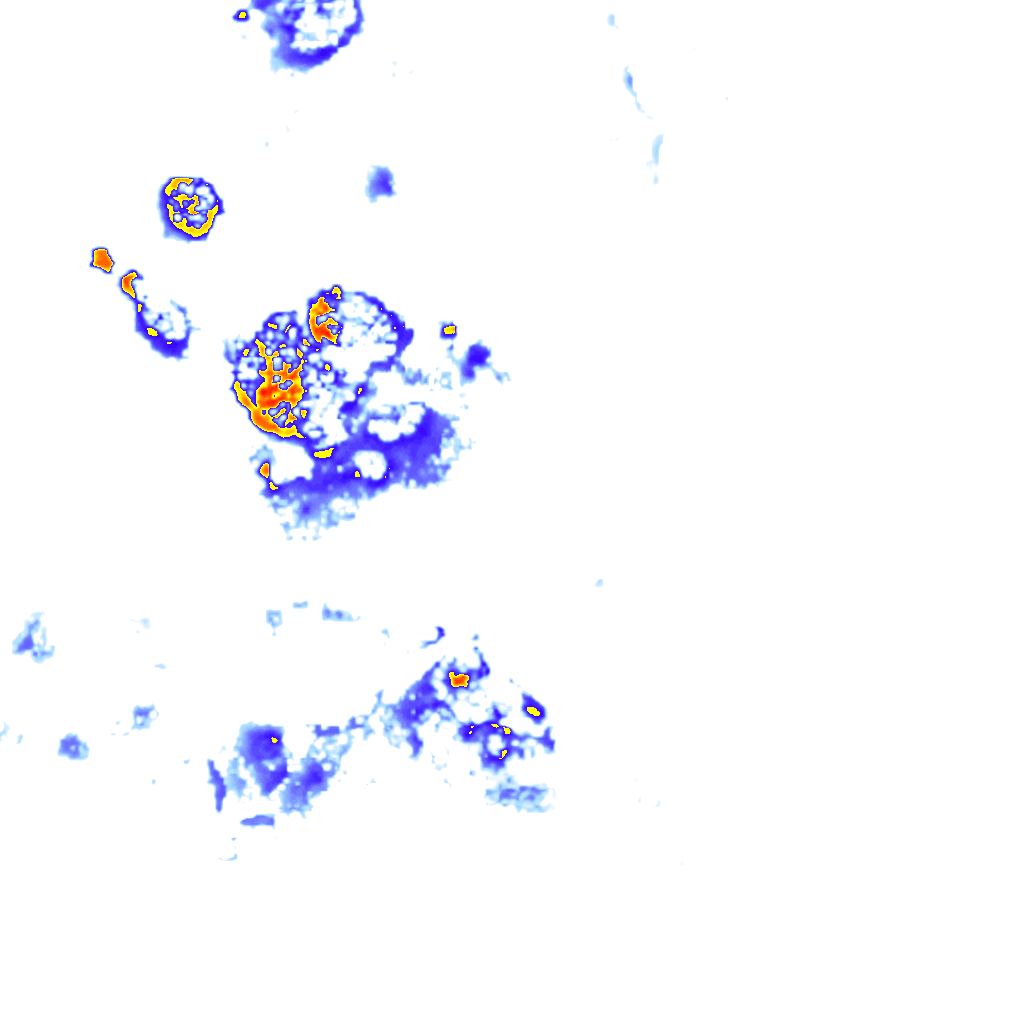 rainLayer