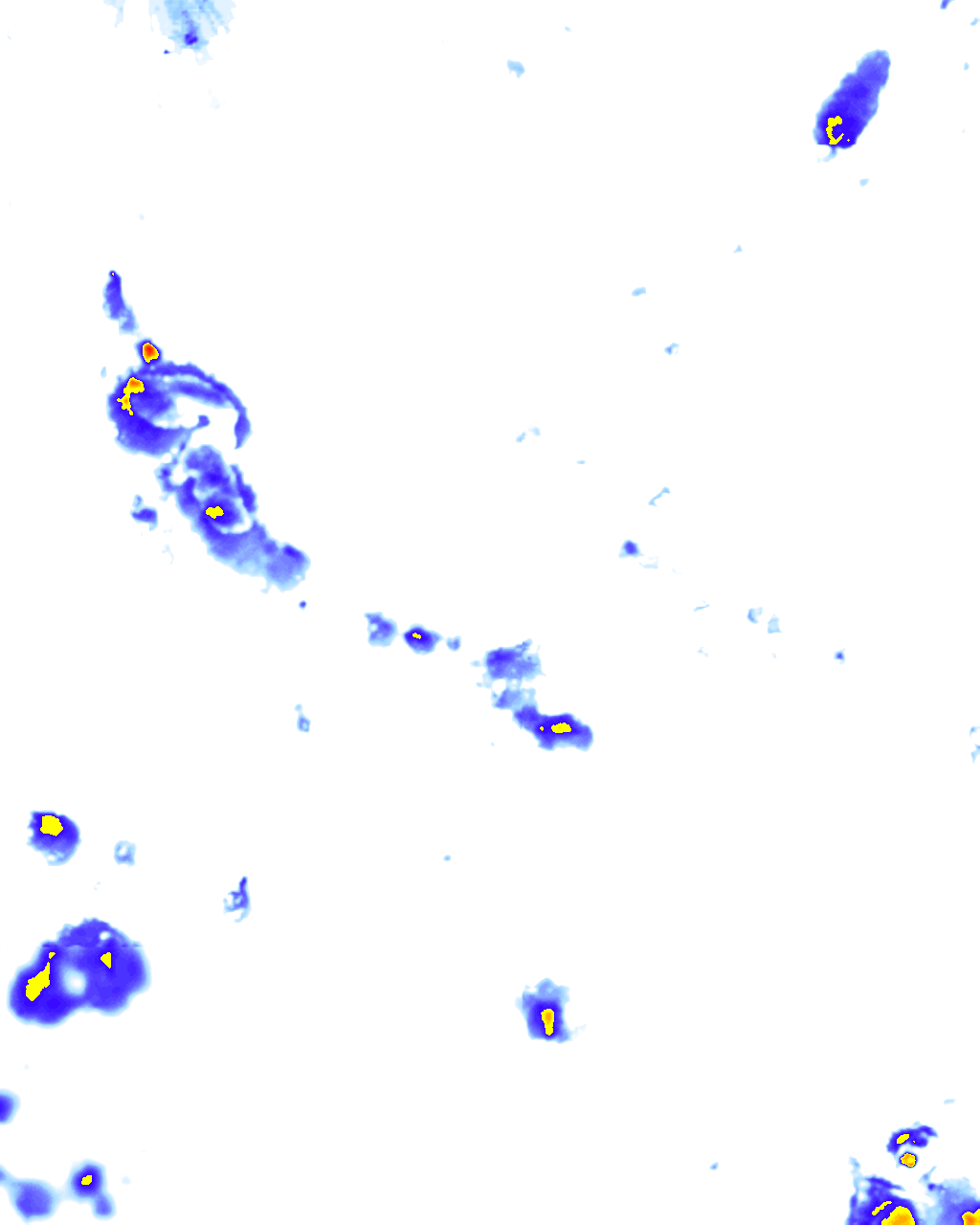 rainLayer
