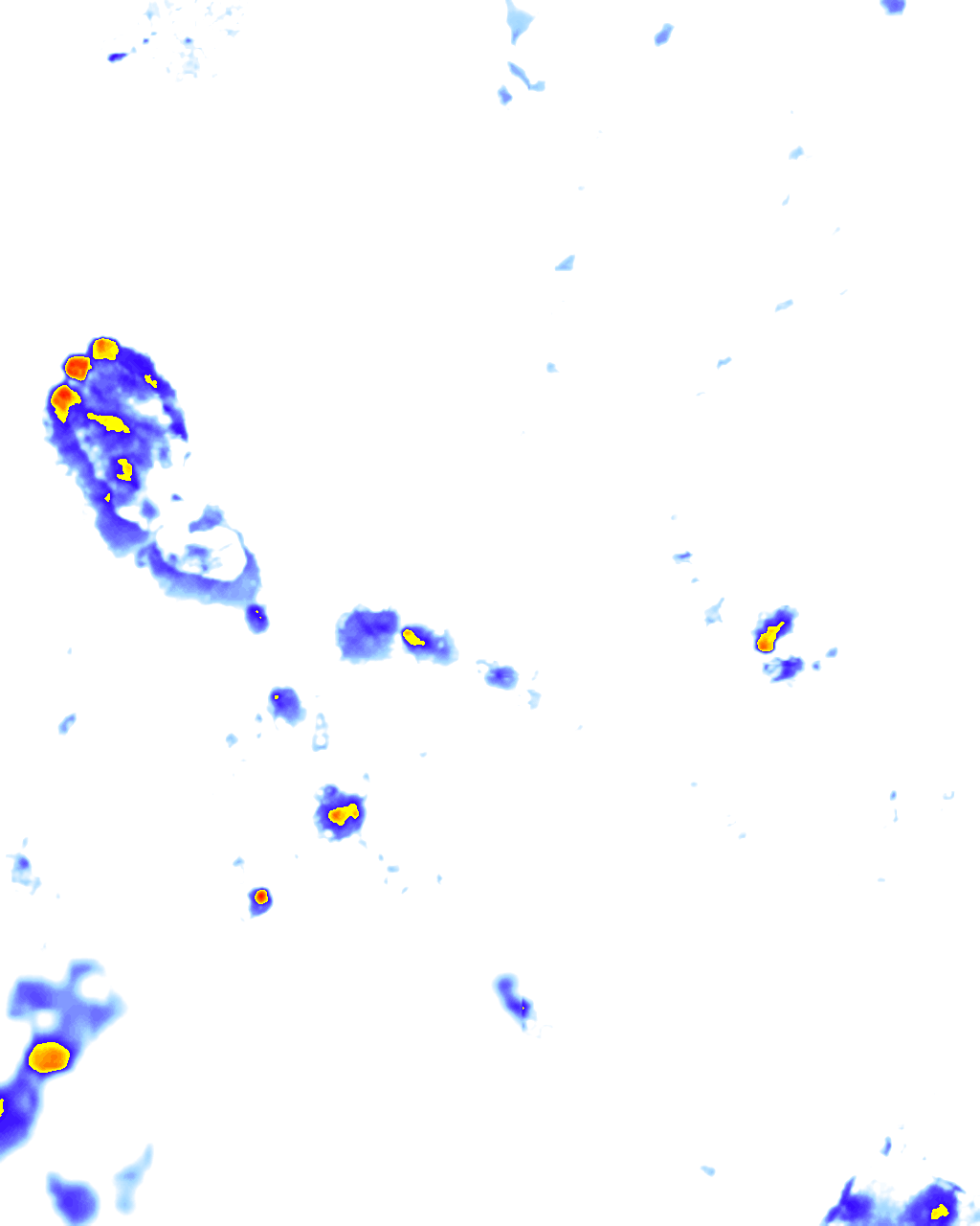 rainLayer