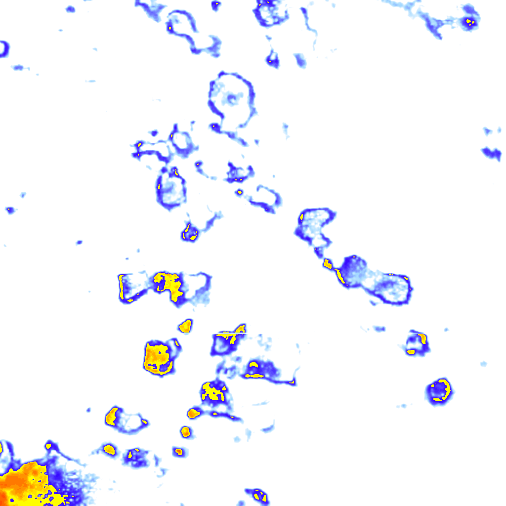 Image Layer