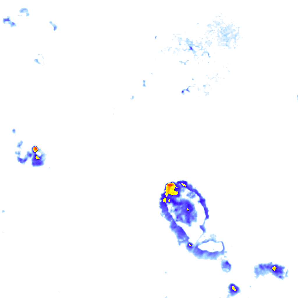 rainLayer